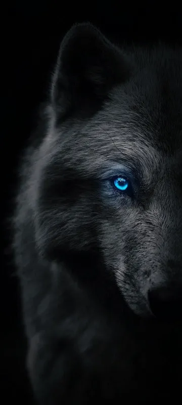 Lobo con mirada vigilante, símbolo de Wolves At Service